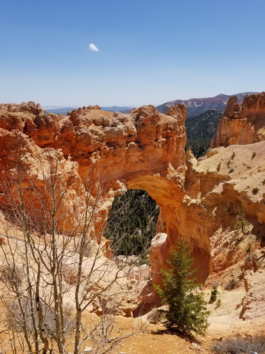 Natural Bridge 